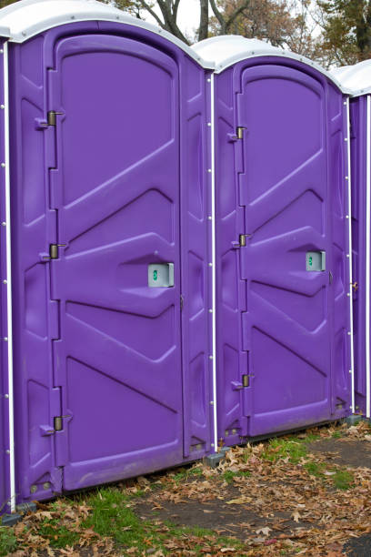 Best Portable Toilet Rental for Emergency Services  in Ol, LA